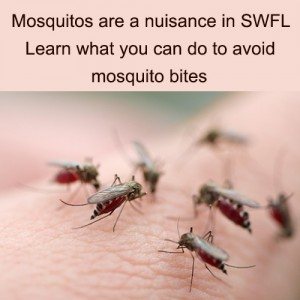 Are Mosquitoes Bugging You? Learn how to Avoid Bites.